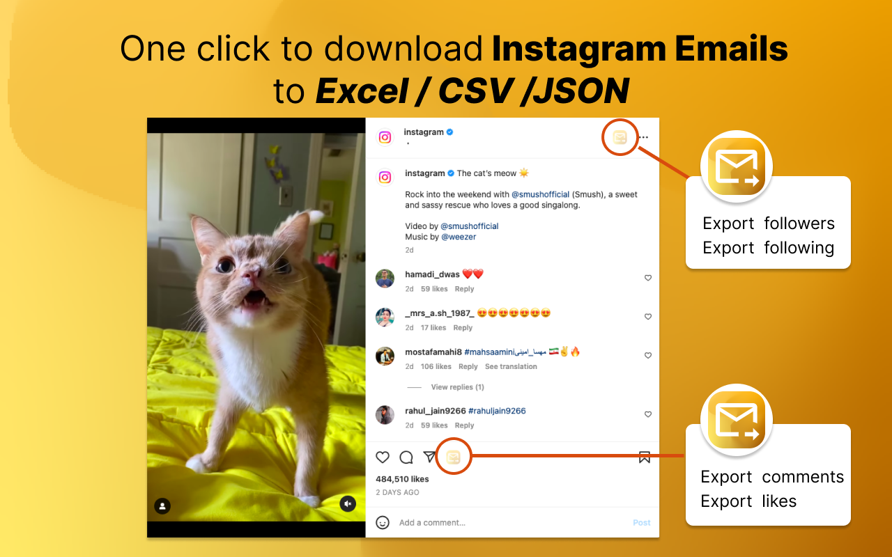 EmailFox - IG Email Extractor and Scraper