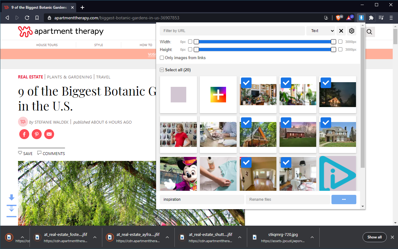 Fatkun Batch Download Image
