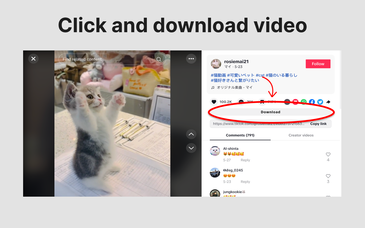Download TikTok Video | 下载 Tiktok 视频
