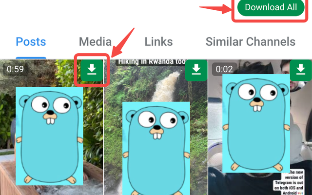 Telegram Downloader - 免费电报下载器