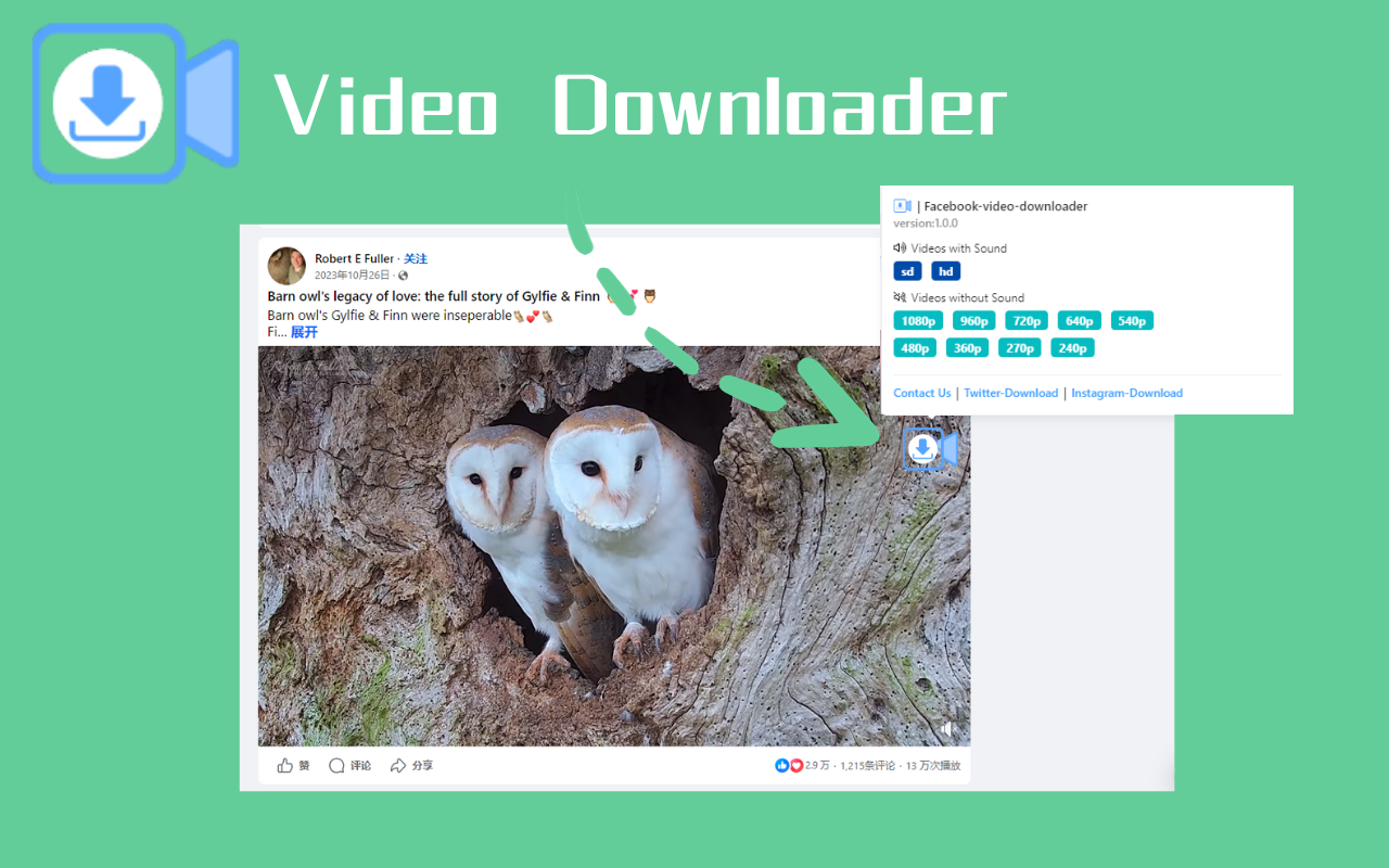 脸书视频下载 - VidSaver.io