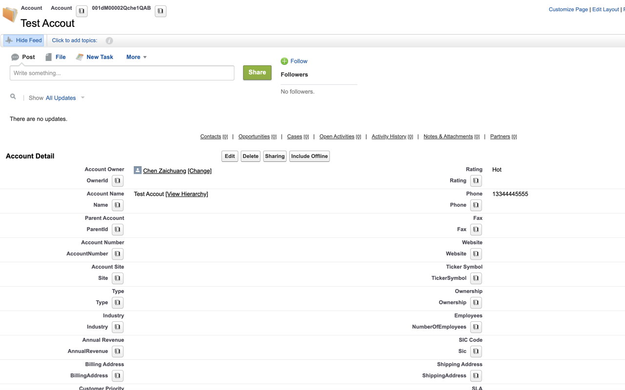 Salesforce Show Api Name