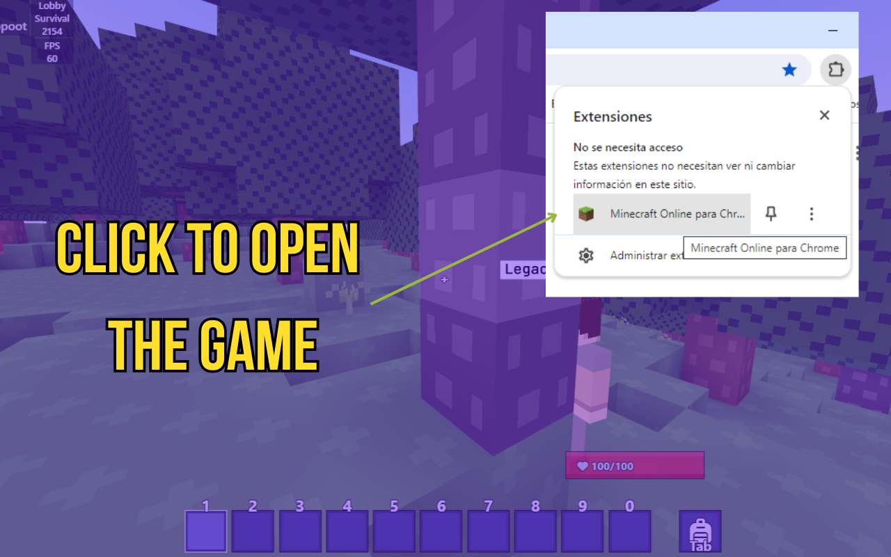 Minecraft™ Online Edition for Chrome