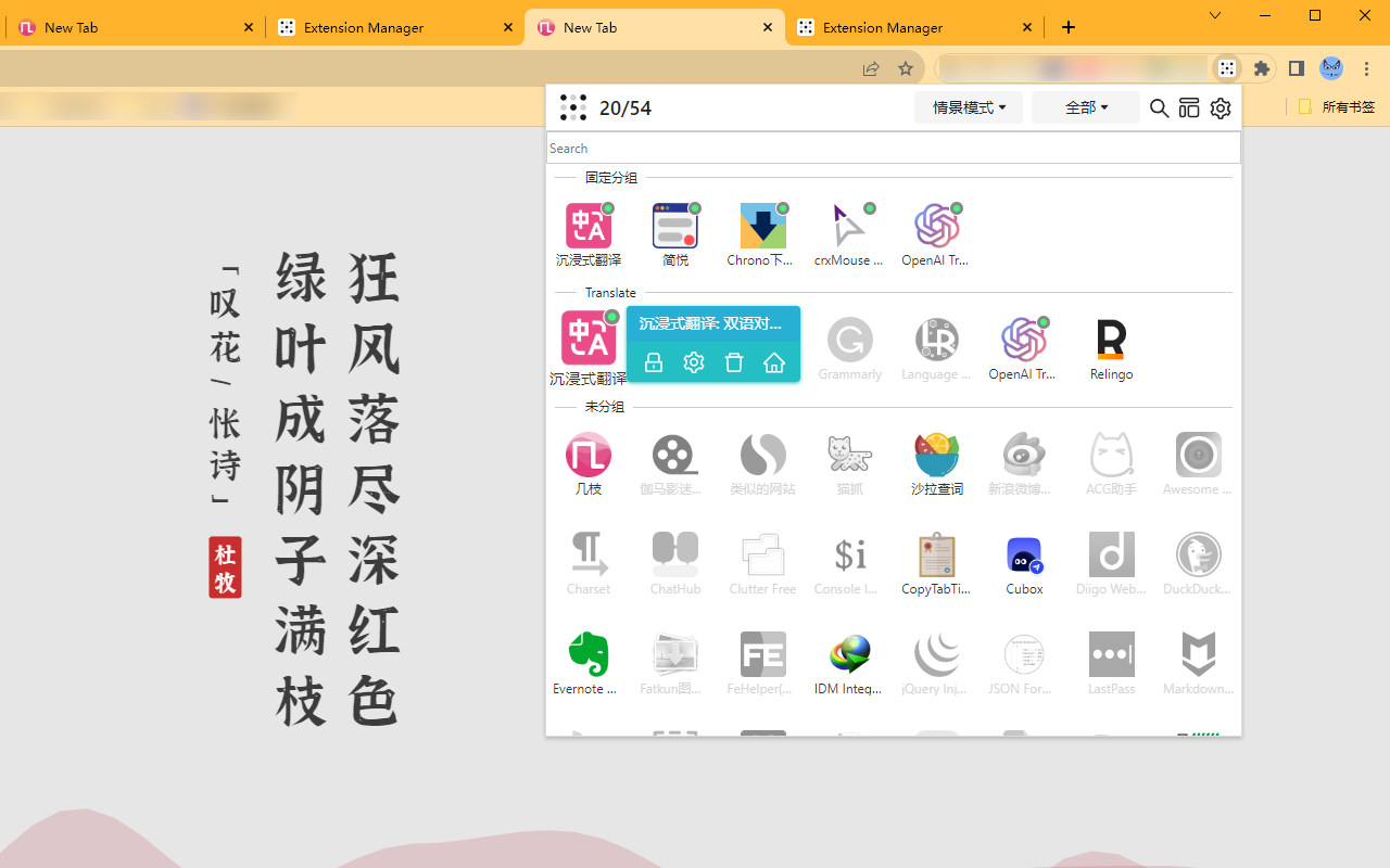 扩展管理器（Extension Manager）