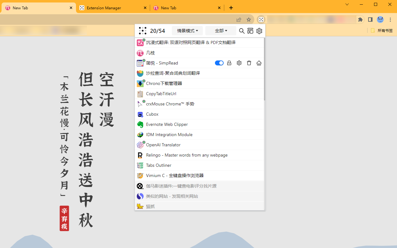 扩展管理器（Extension Manager）