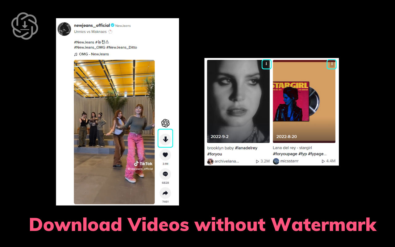 TikTok去水印视频下载和视频脚本生成器