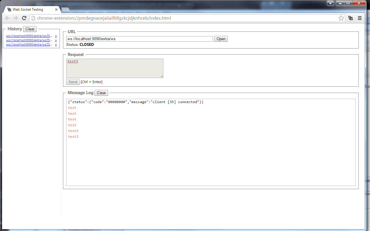 WebSocket Test Client