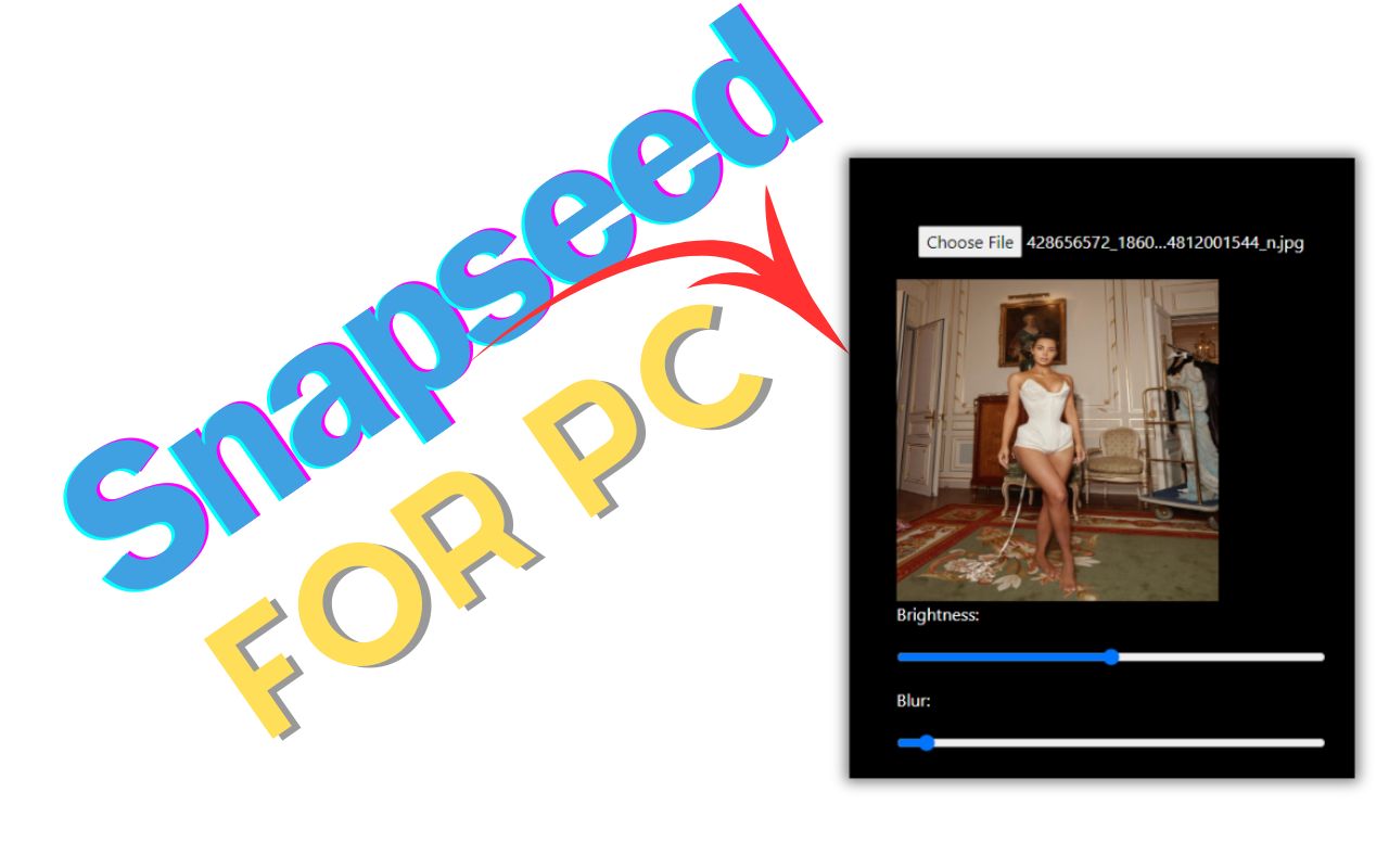 Snapseed for Pc,Windows and Mac (Free Download)