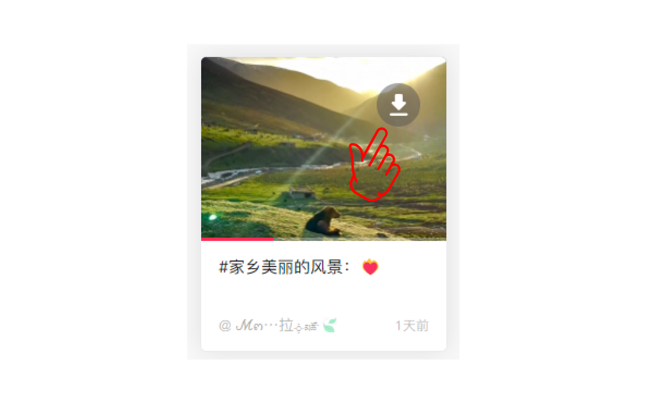抖音视频下载器