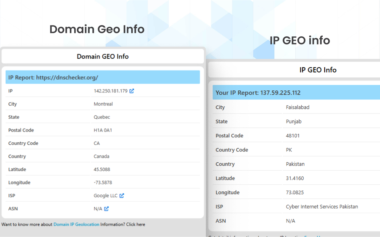 DNS Checker - SEO and Domain Analysis