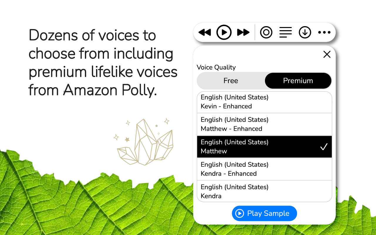 WebOutLoud - Text to Speech Web Reader