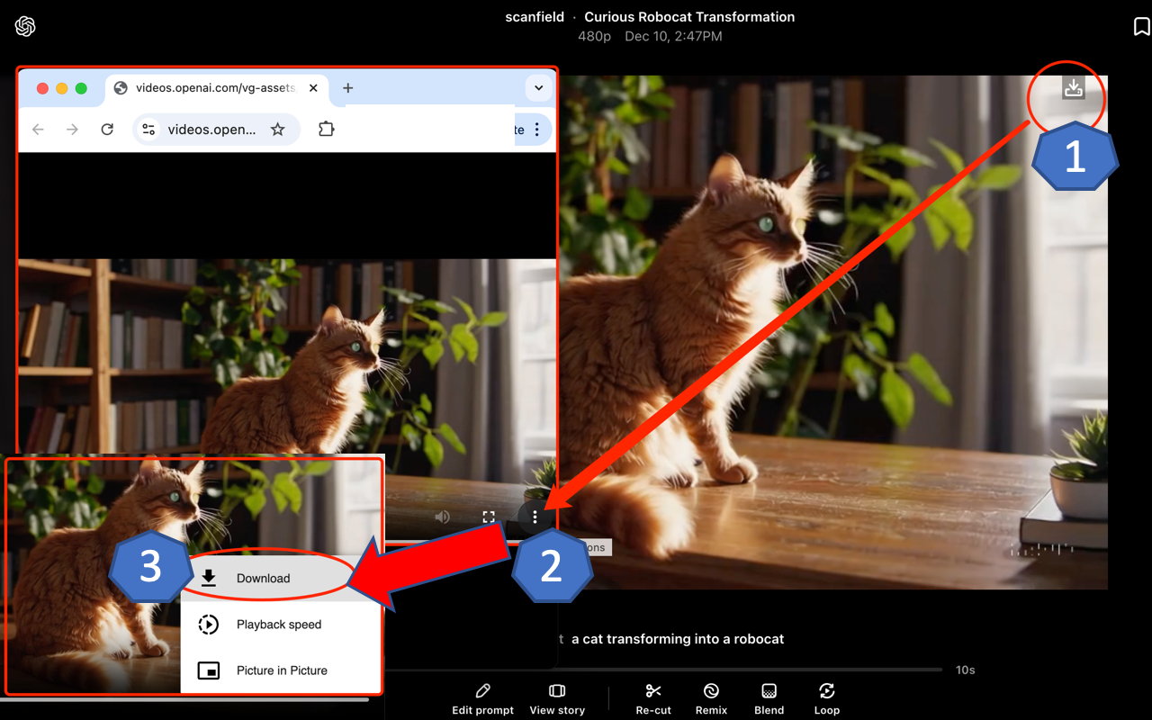 Sora Video Downloader