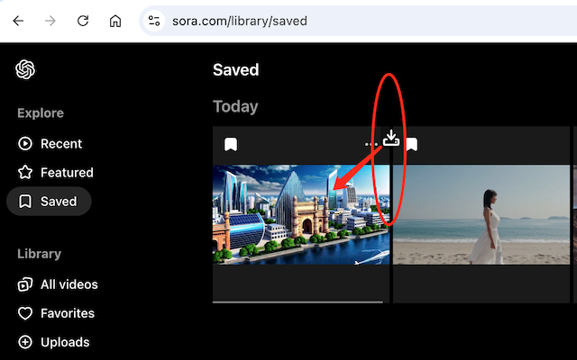 Sora Video Downloader