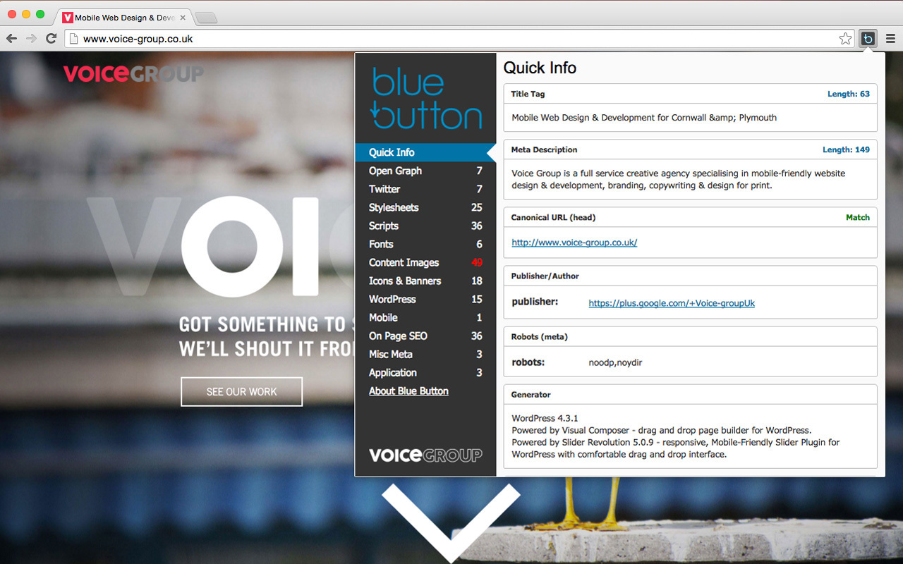 Blue Button | the webpage X-ray