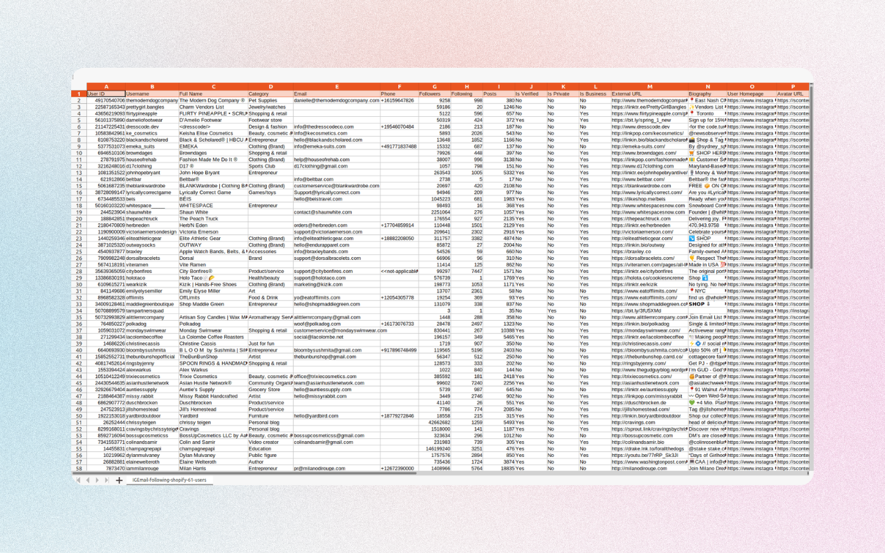 IEmail - Instagram™ 电子邮件提取器