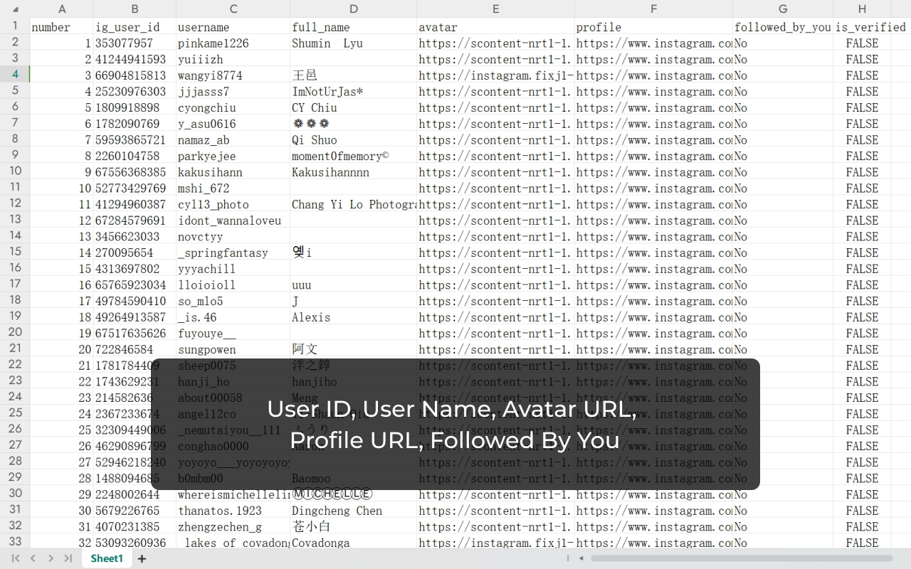 IG 关注者导出工具