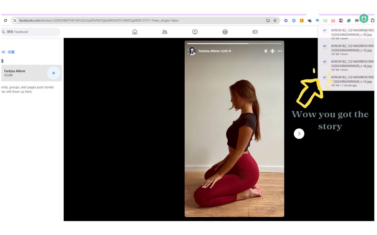 社交媒体下载器 - SocialPlus