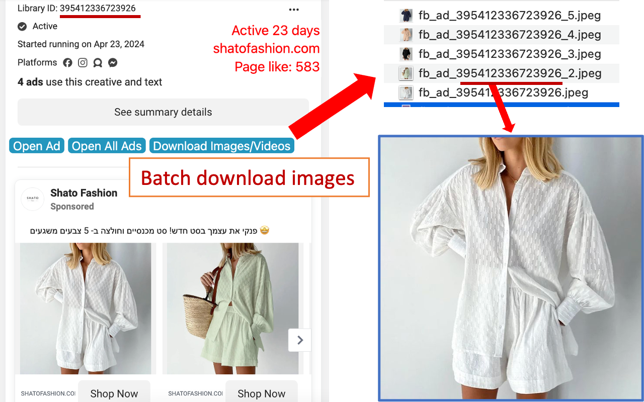 Facebook Ad Library Insights - Filter ADs,Download HD-Videos