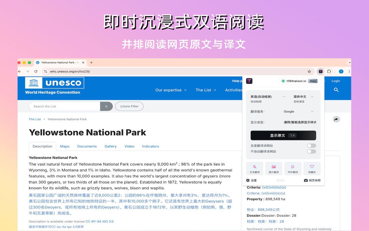 TransorAI - 专业的AI翻译工具 | 网页、字幕、PDF、图片实时翻译