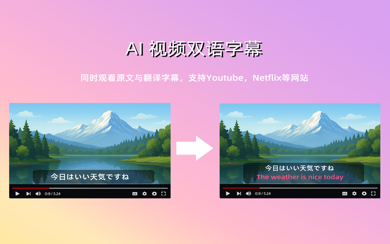 TransorAI - 专业的AI翻译工具 | 网页、字幕、PDF、图片实时翻译