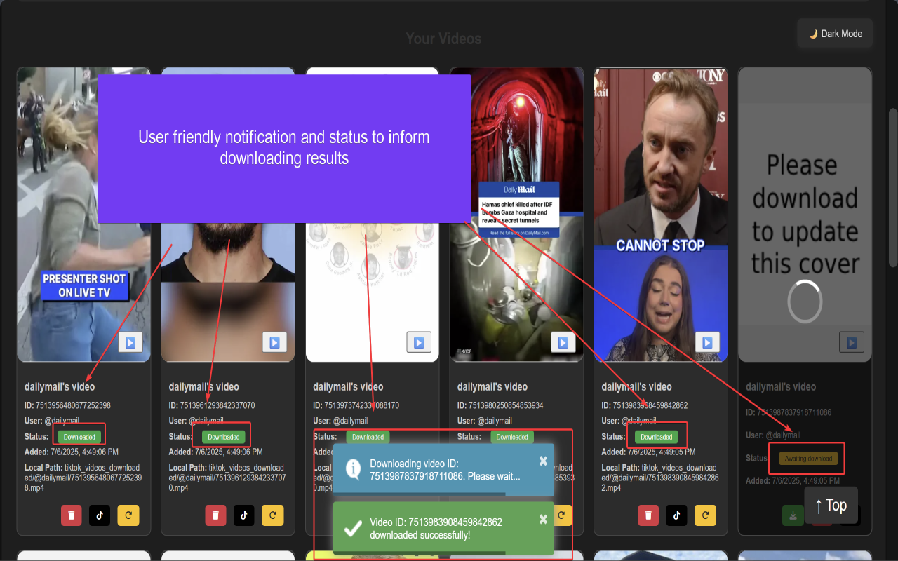 Tiktok Bulk Downloader