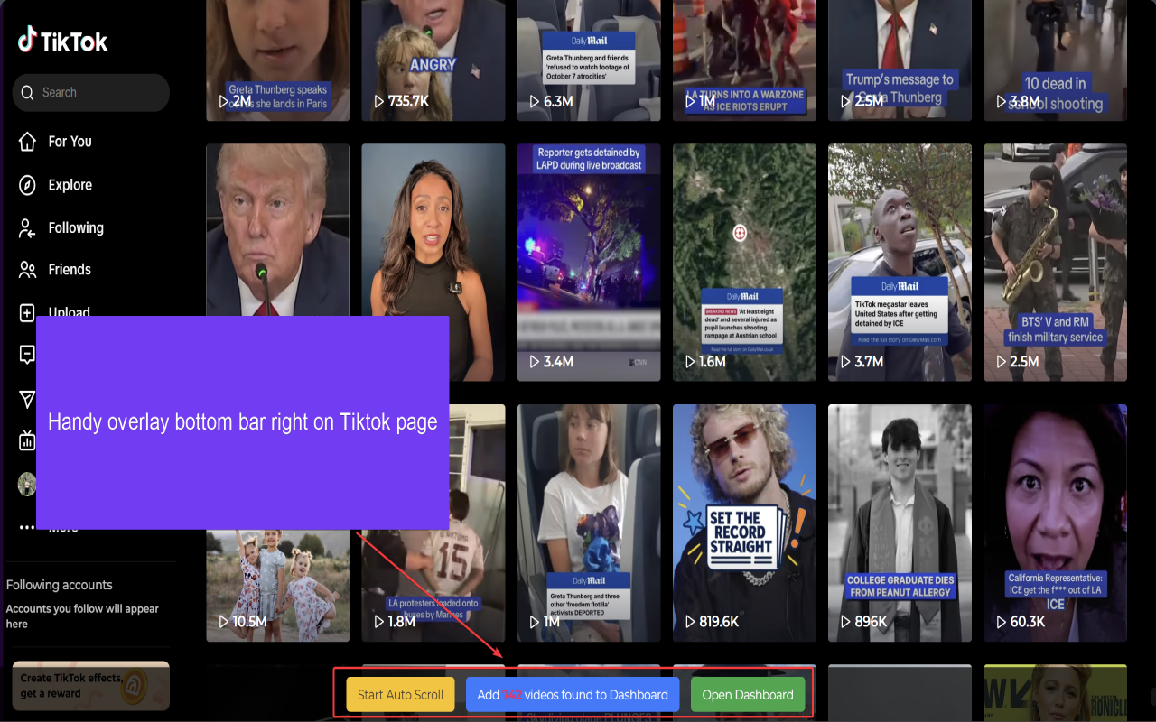Tiktok Bulk Downloader