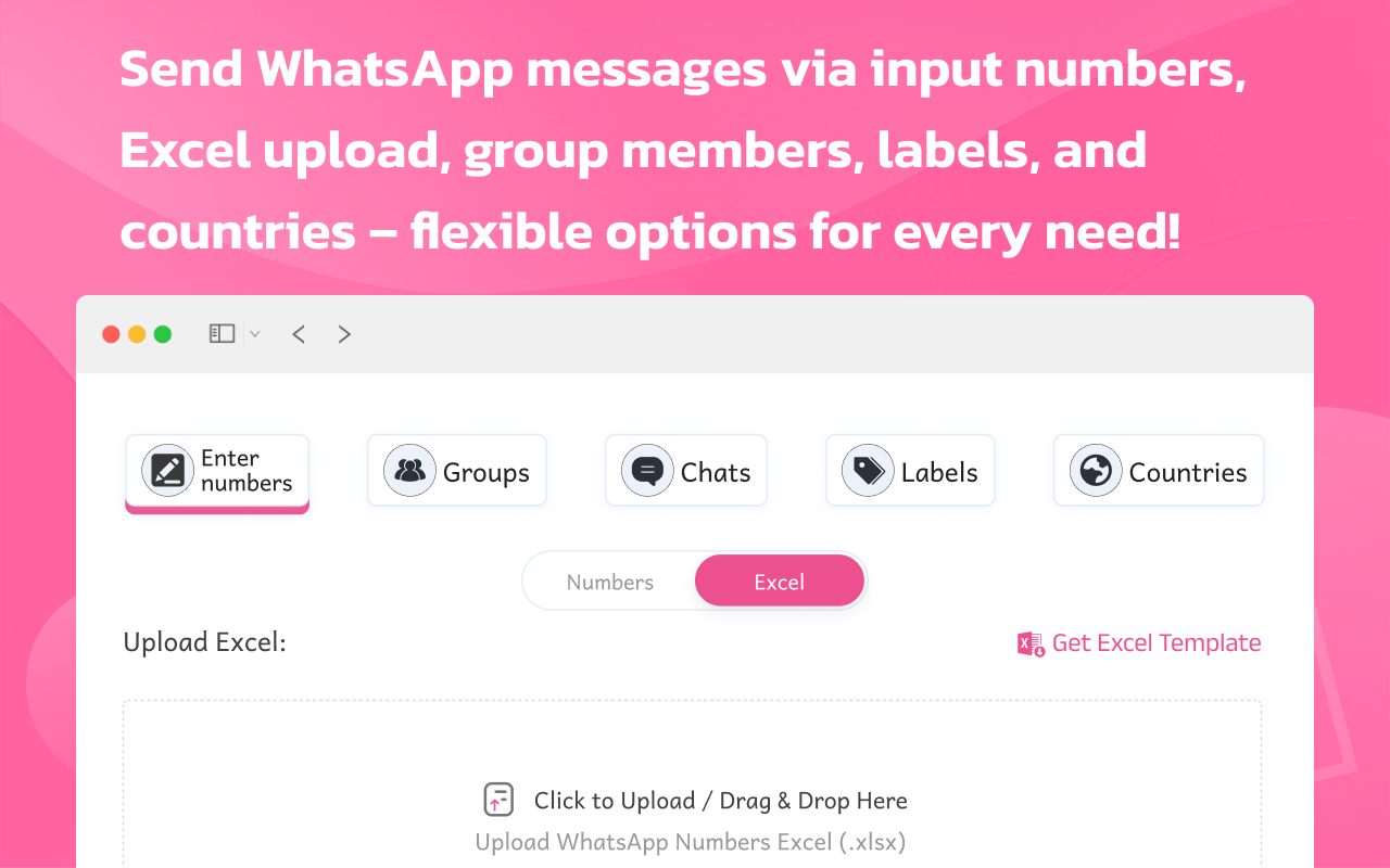 WhatsApp 批量消息发送器 | Premium Sender Plus