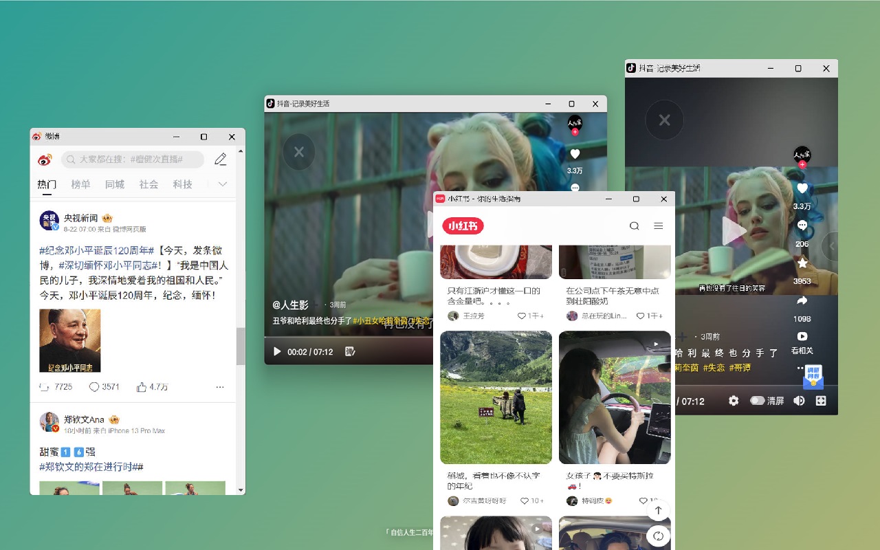 小窗打开 - 微博抖音小红书看小说