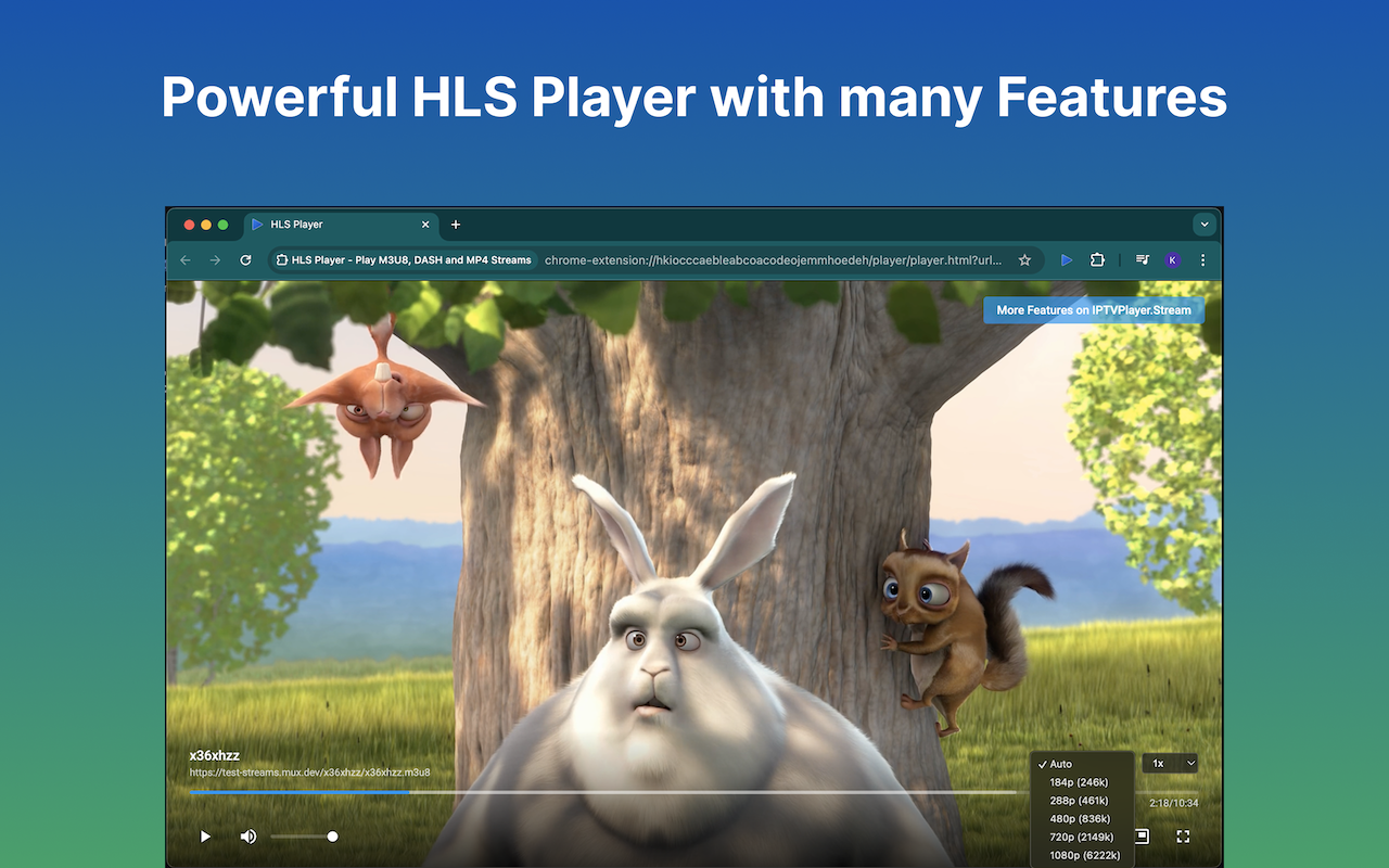 IPTV Player - Player for HLS, M3U8, MP4, DASH and TS Streams