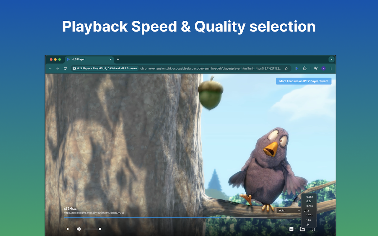 IPTV Player - Player for HLS, M3U8, MP4, DASH and TS Streams