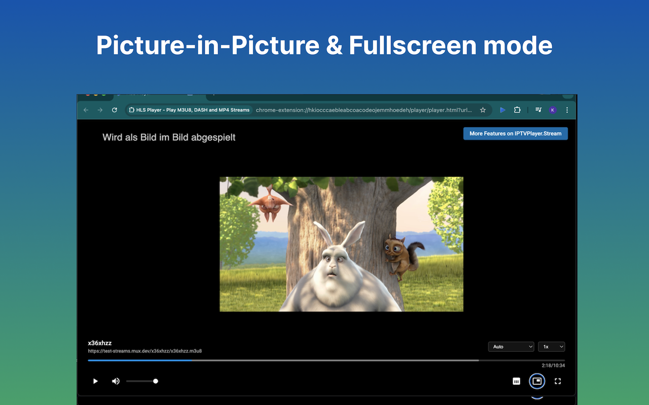 IPTV Player - Player for HLS, M3U8, MP4, DASH and TS Streams