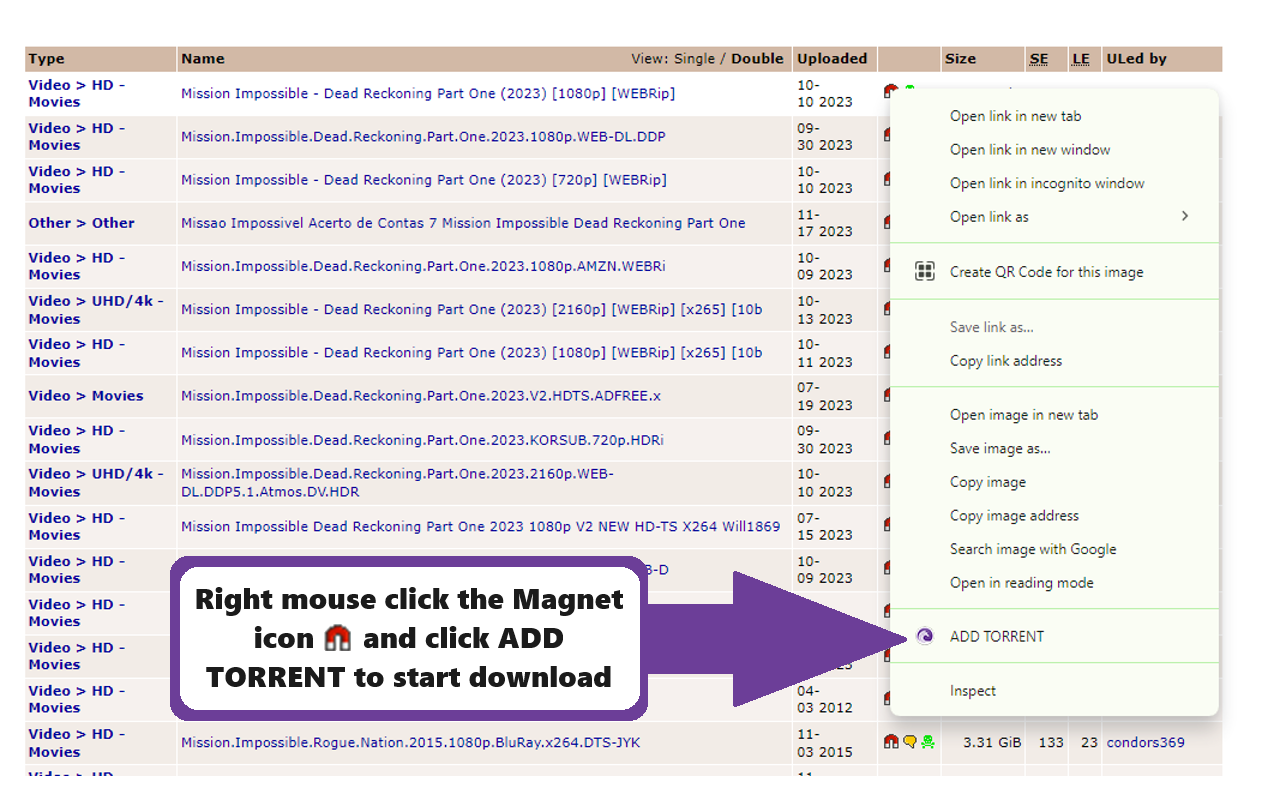 Bittorent For Chrome