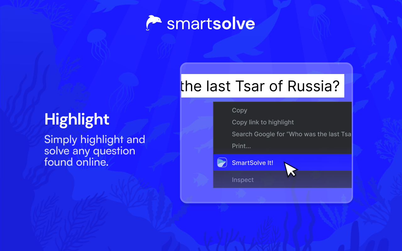 SmartSolve - AI Homework Solver