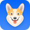 Corgi AI - 你的语言老师