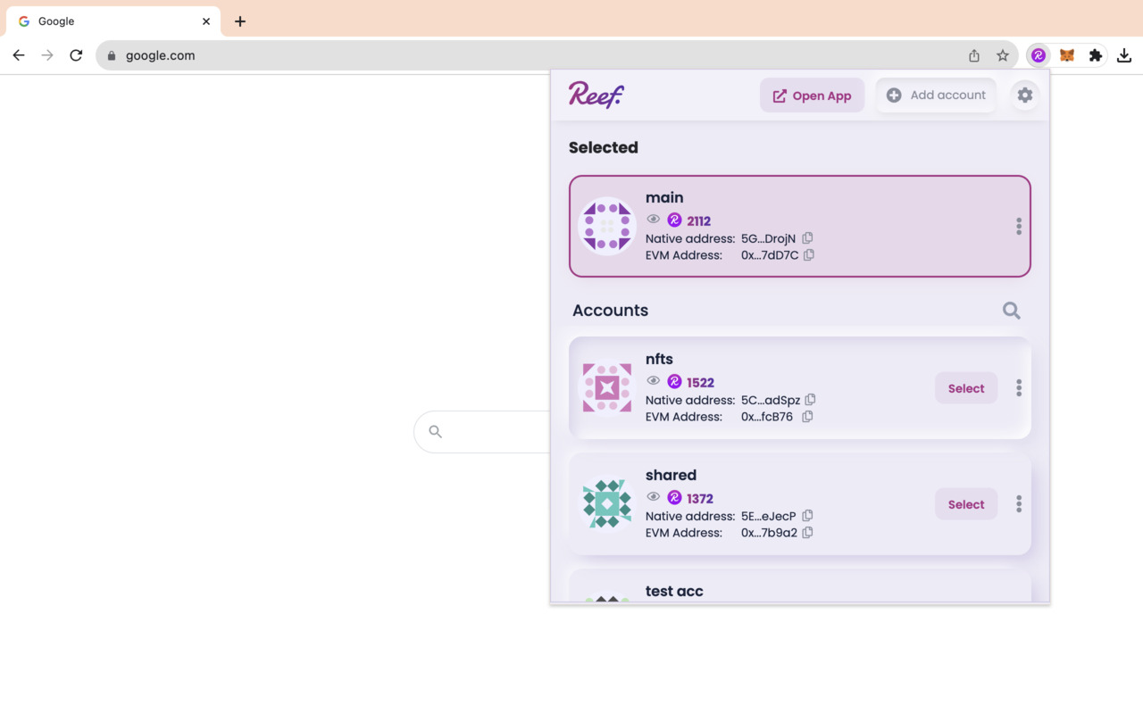 Reef Chain Wallet Extension