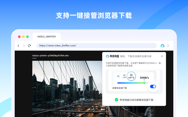 夸克网盘-网页嗅探