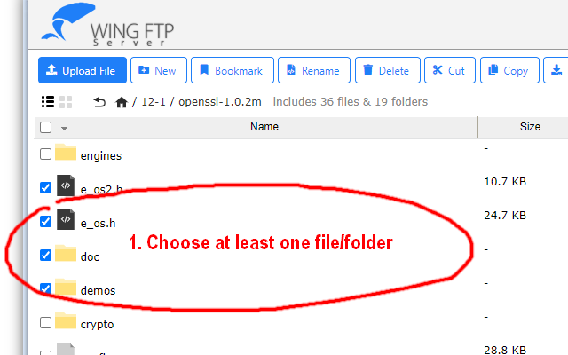 Wing Download Manager