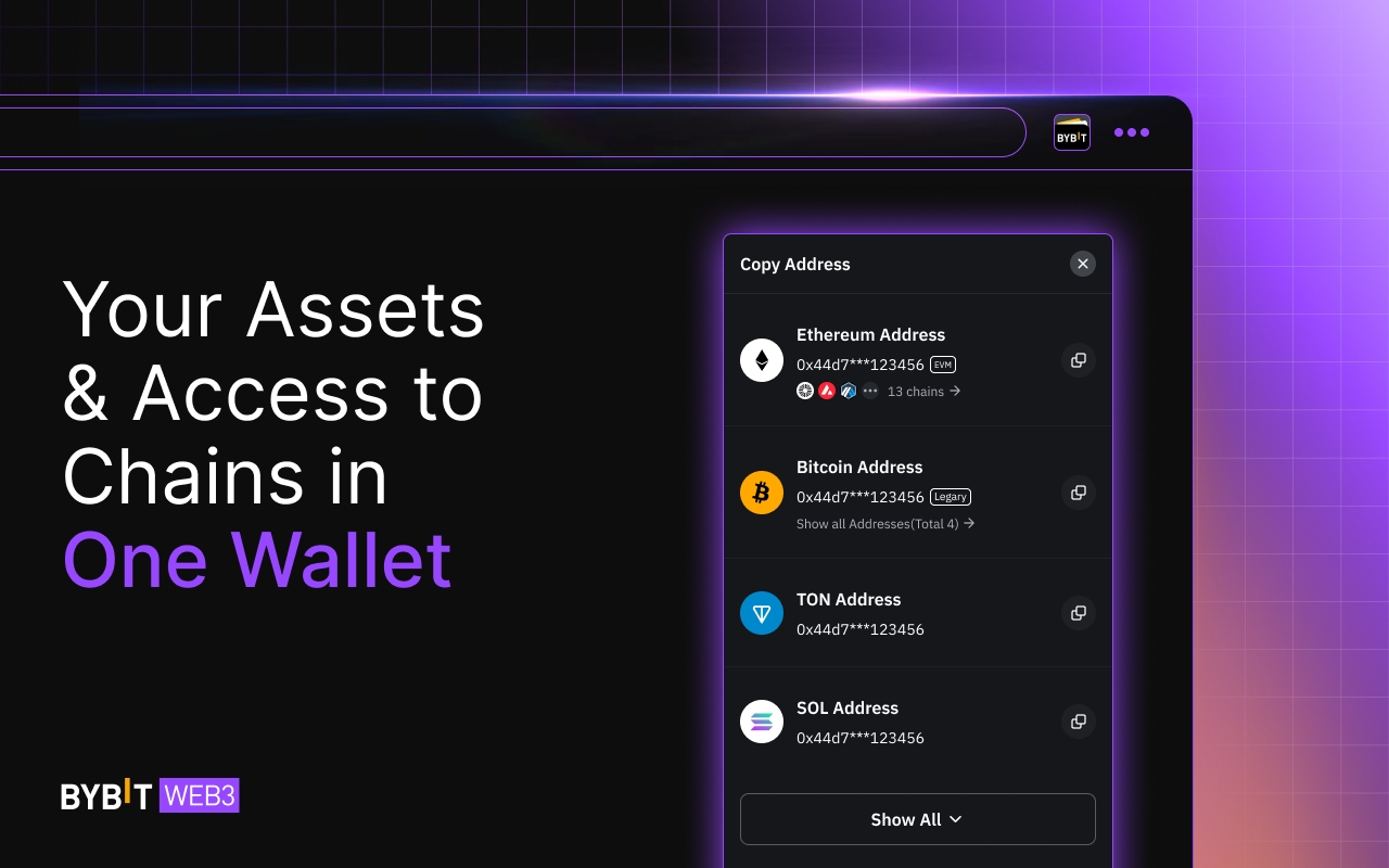 Bybit Wallet