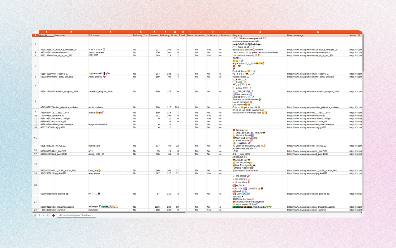 IExporter - Instagram™ 粉丝导出工具