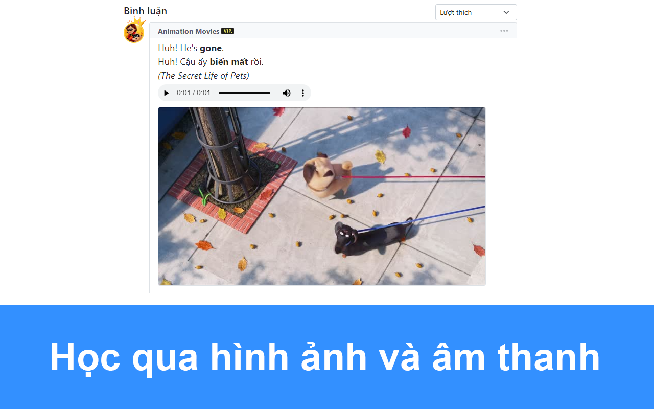 Từ điển Anh Việt ENVI