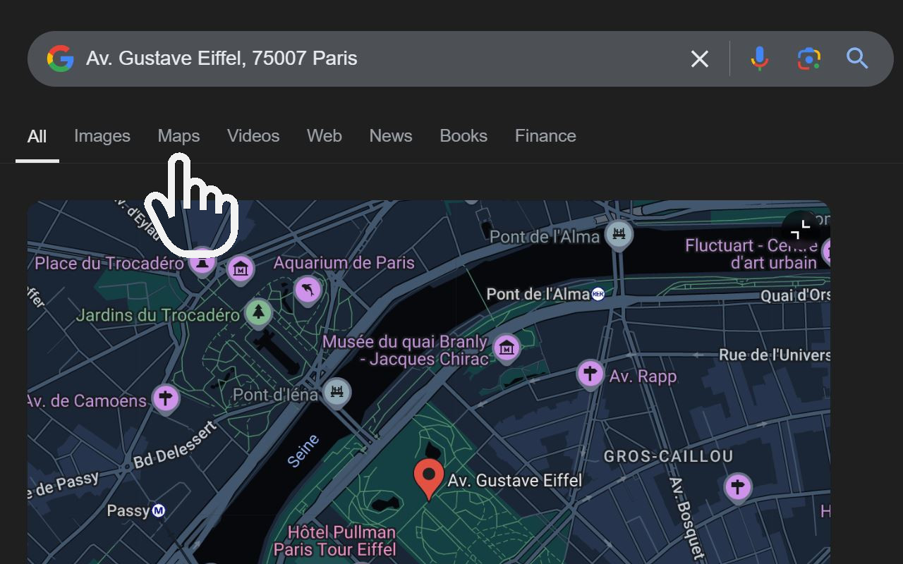 Google Search Maps Button