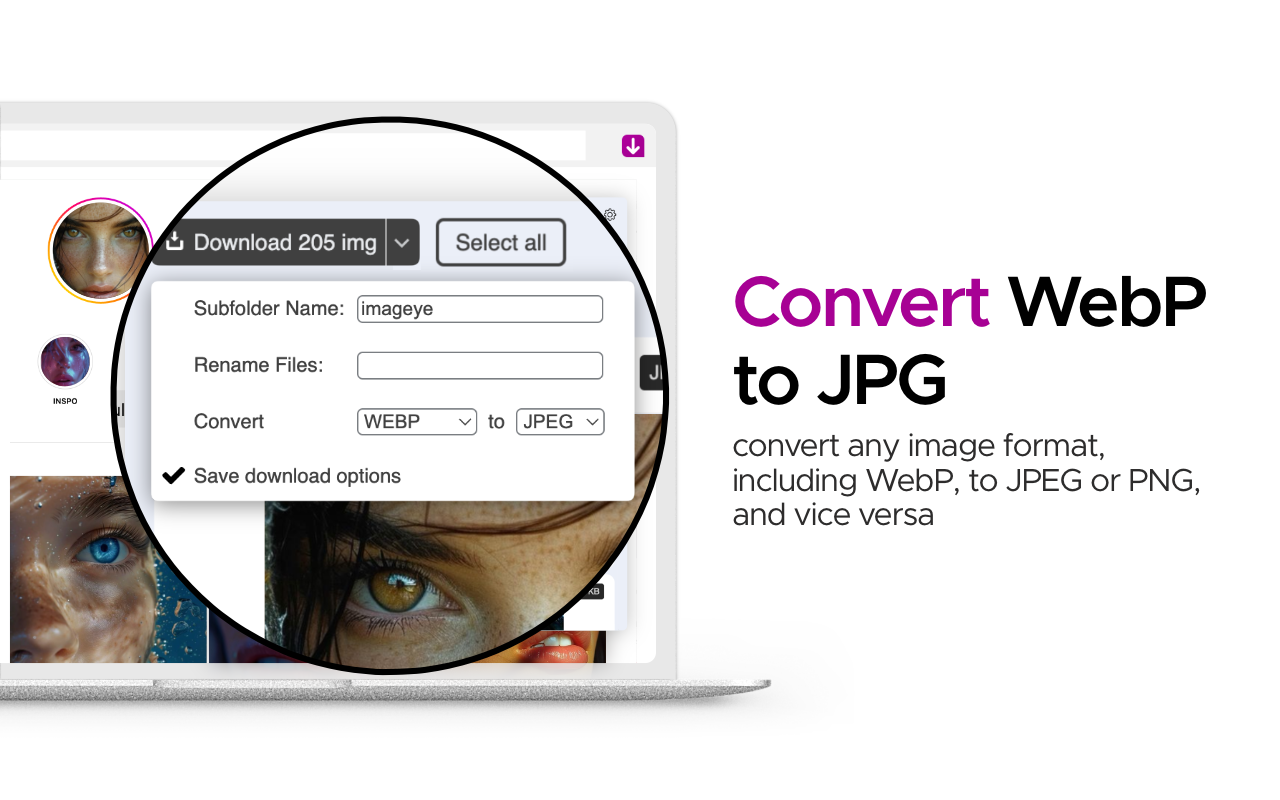 批量图片下载器 - Imageye