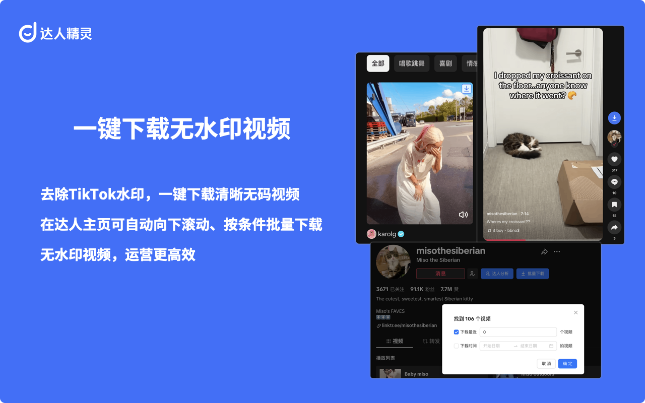 达人精灵 - TikTok视频下载、AI脚本与数据分析