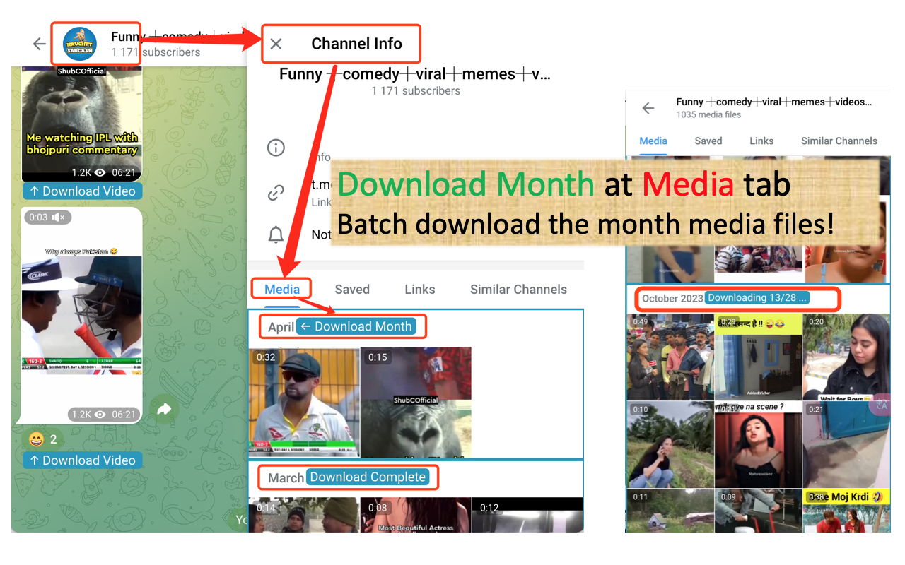 Telegram Video Downloader -Telegram视频图片下载器-TVD