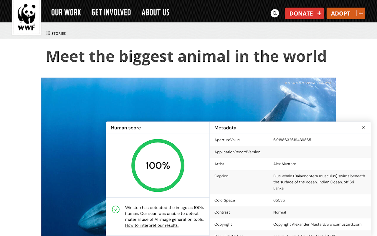 AI Detector for text and images - Winston AI