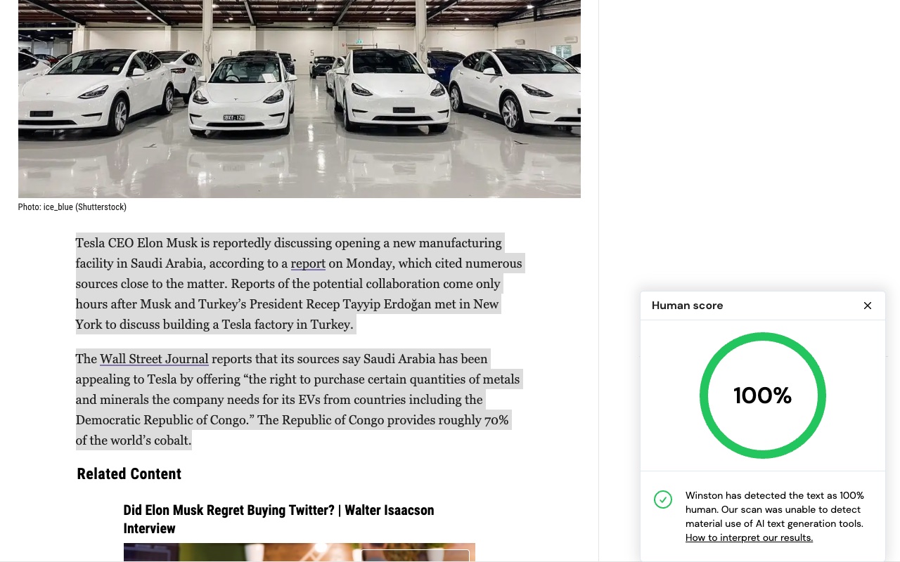 AI Detector for text and images - Winston AI